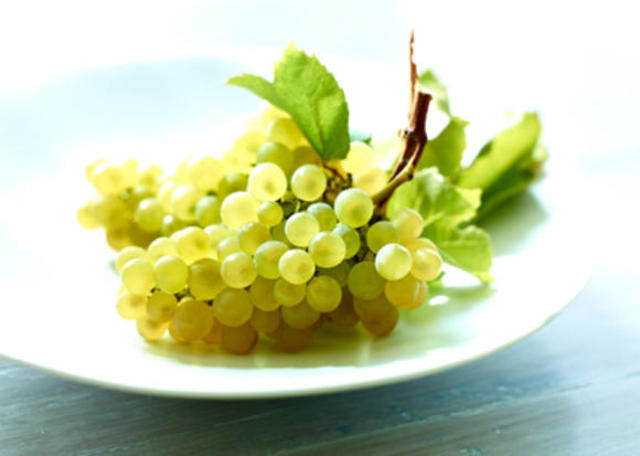 The Vital Organs Are Created