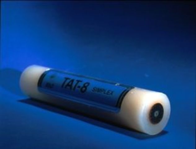 TAT-8