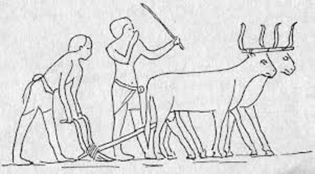 oudste rotstekening van een ploeg