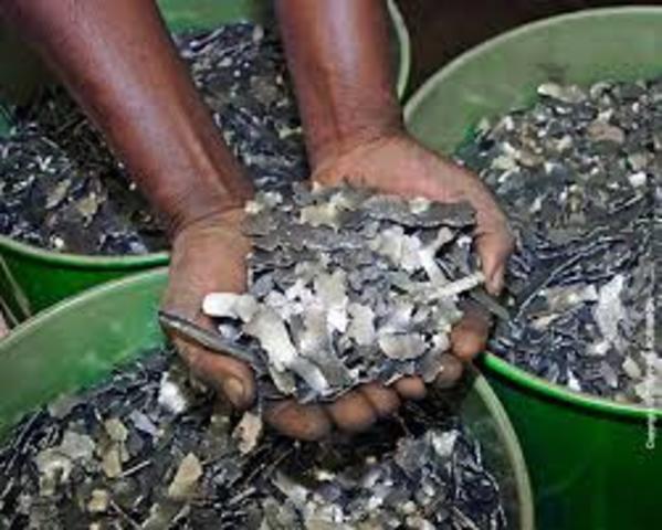 Cobalt Mining Begins