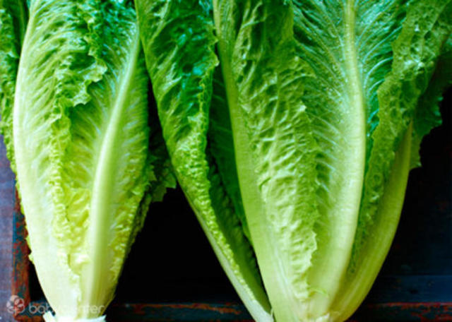 Shedding Excess Hair