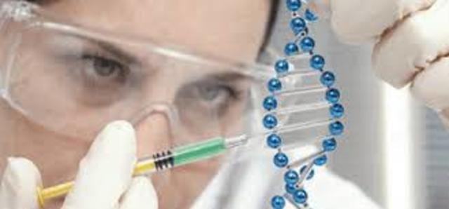 El Atlas de las Células