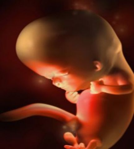 Week 10 of pregnancy