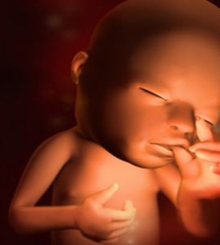 Week 15 of pregnancy