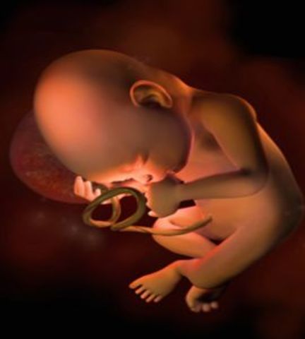 Week 30 of pregnancy