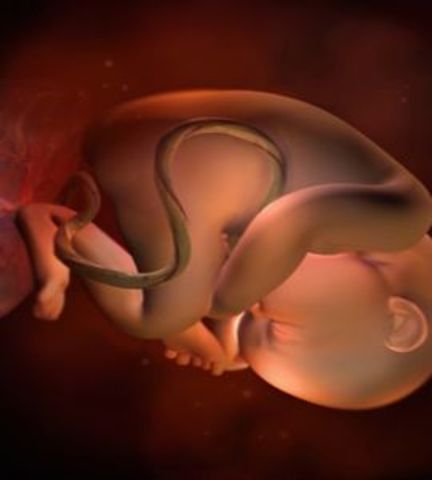 Week 35 of pregnancy