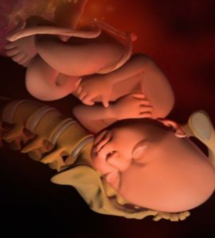 Week 40 of pregnancy