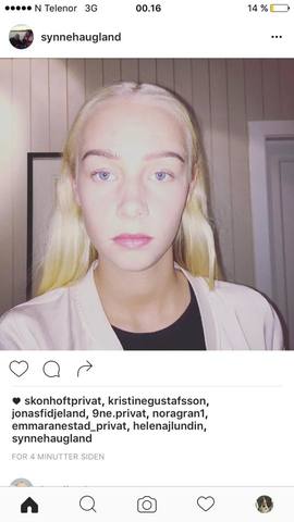 Mossekonvensjonen (Synnes bursdag)