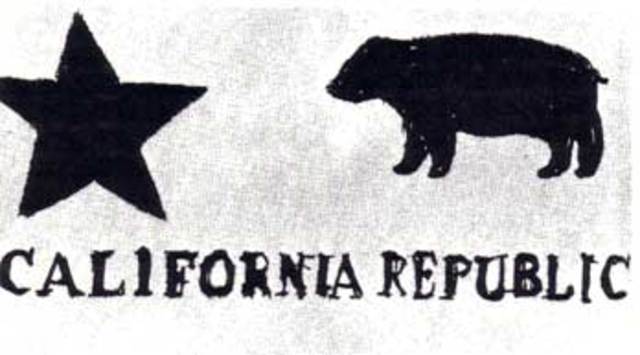 Bear Flag Revolt 8