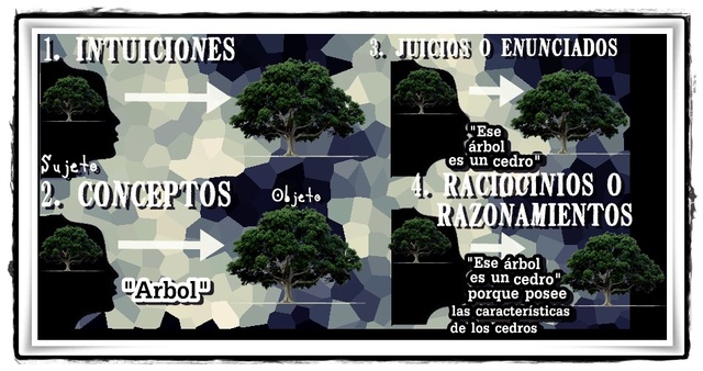 Conocimiento como disciplina Filosofica