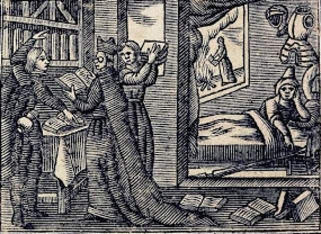 Cap 7 - Don Quijote despierta y pregunta por sus libros