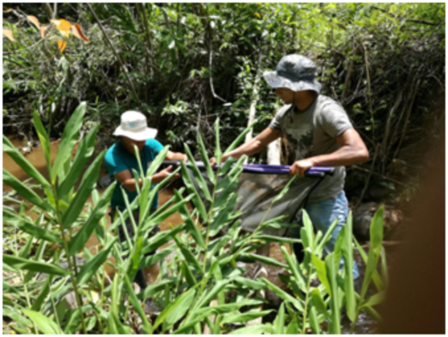 Jornada conjunta de campo municipio de Suárez microcuenca la La Chorrera, AQUARISC-UPC- CLUSTER