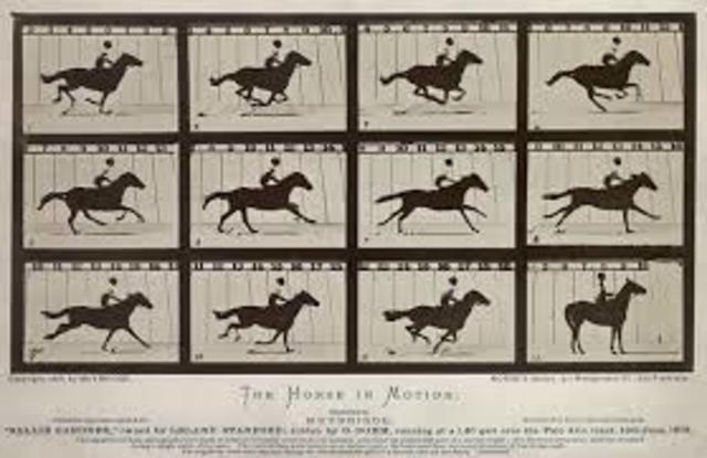 Discovery of Motion Pictures