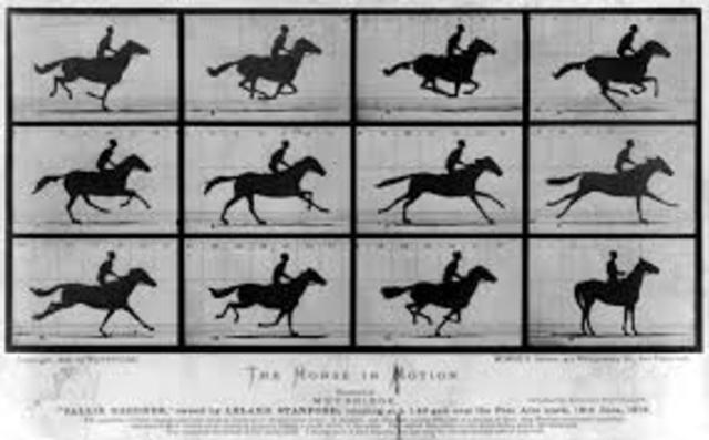 The First Photographs of Motion
