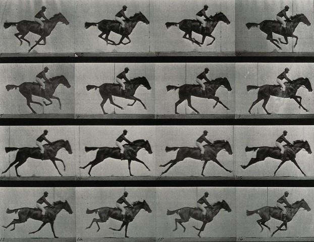 The First Motion Picture Ever Made