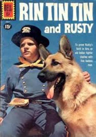 Rin Tin Tin