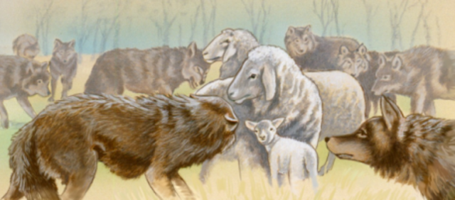 Temmen van dieren  (mijn belangrijkste gebeurtenis 3)