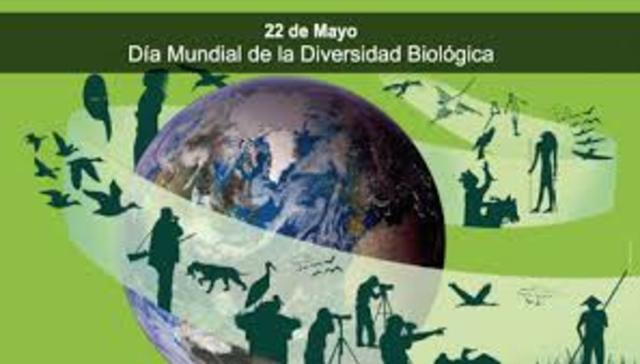 Día Mundial de la Biodiversidad.     http://www.chubut.gov.ar/portal/wp-organismos/ambiente/wp-content/uploads/sites/8/2016/05/D%C3%ADa-de-la-Biodiversidad-10.jpg