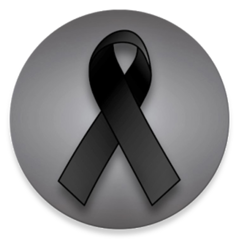 la muerte de mi primo