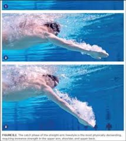 The Development of Freestyle