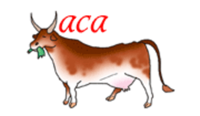 Primer Centro Experimental