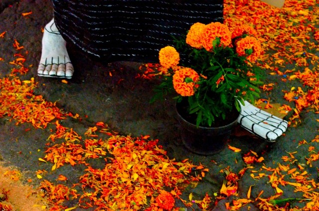 Using Mexican Merigolds