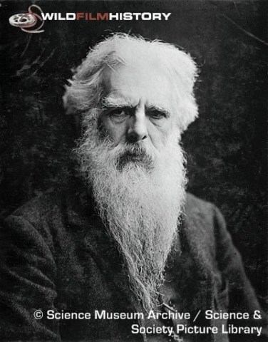 Eadweard Muybridge