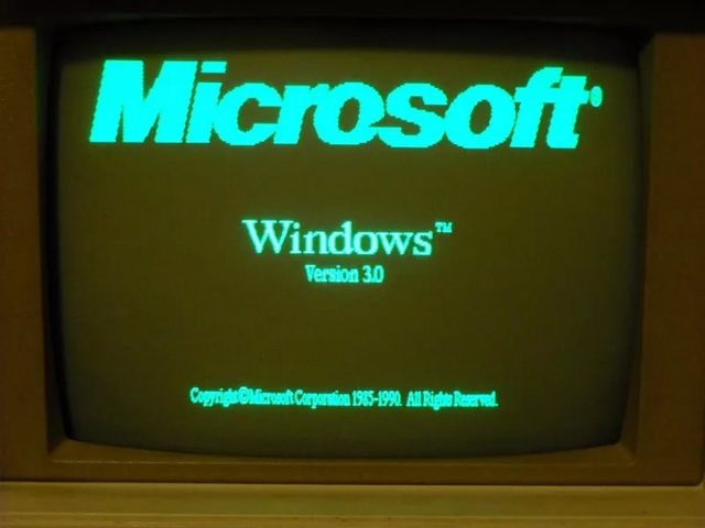 Windows 3.0