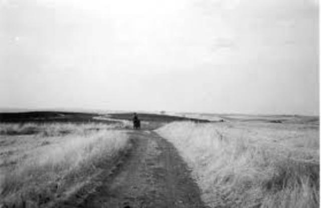 Capítulo II: Un día sin eventos