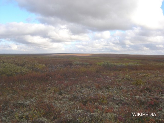 Nederland na de ijstijd