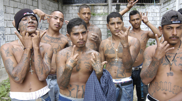 MS-13