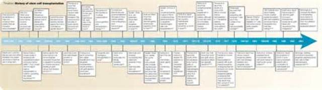 Primera xarxa comercial de mòbil