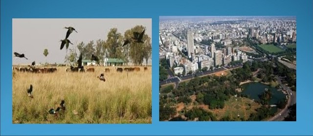 Diferencia entre la escuela rural y urbana