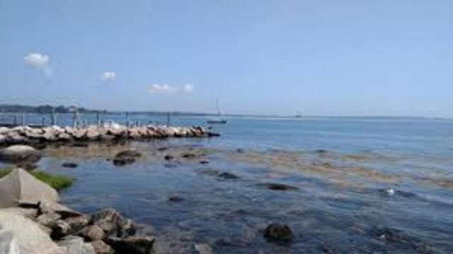 First Europeans land on Connecticut shores