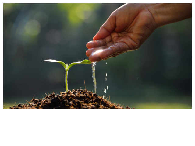 Bingo Community Hall 3