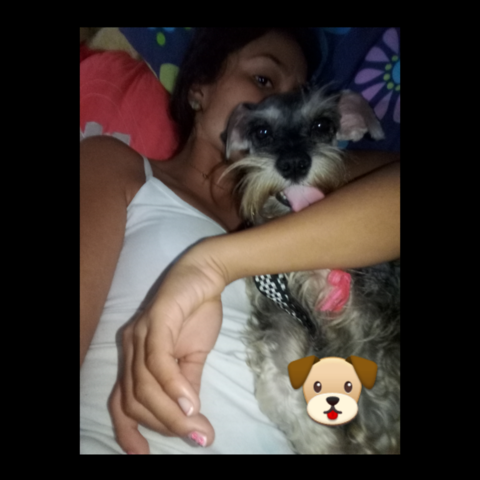 Me regalaron a kiara