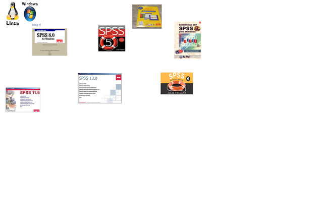 VERSIONES  DICIEMBRE 1994 A JULIO 2004