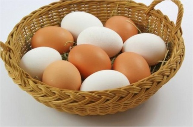 elaboración del wiki