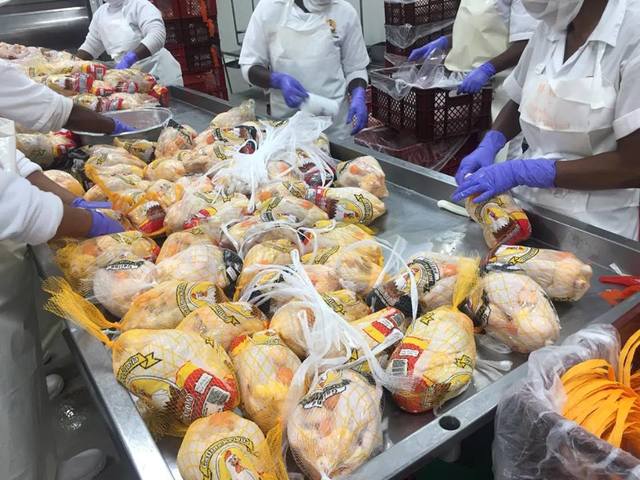 Elaboración del mapa conceptual