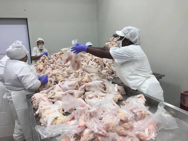 elaboración de un feed