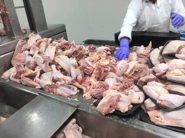 Elaboracion de la Webquest