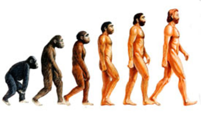 Ancestros del humano