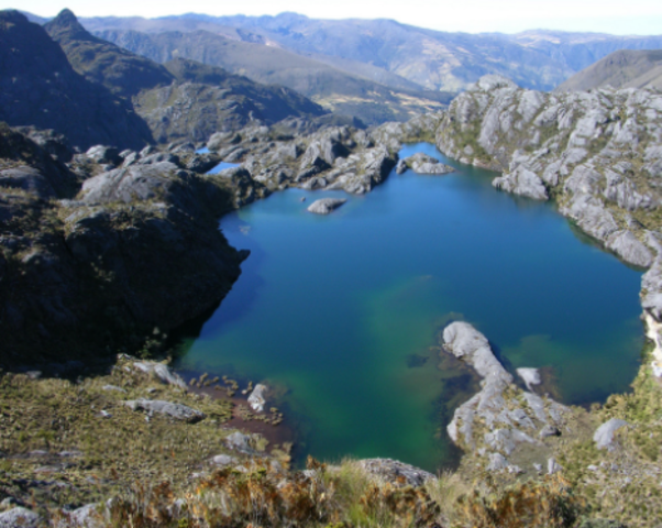 Un grupo de ciudadanos colombianos salvan un páramo