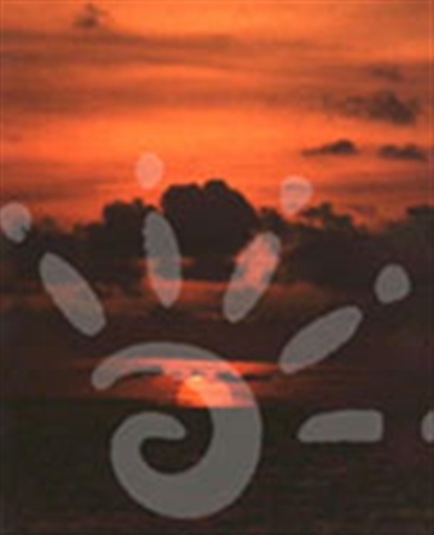 Movil empieza operaciones en Colombia