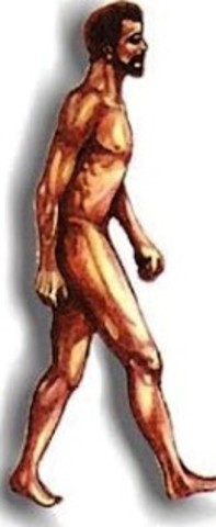 Homo sapiens sapiens