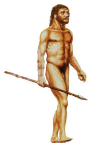 homo neanderthalensis