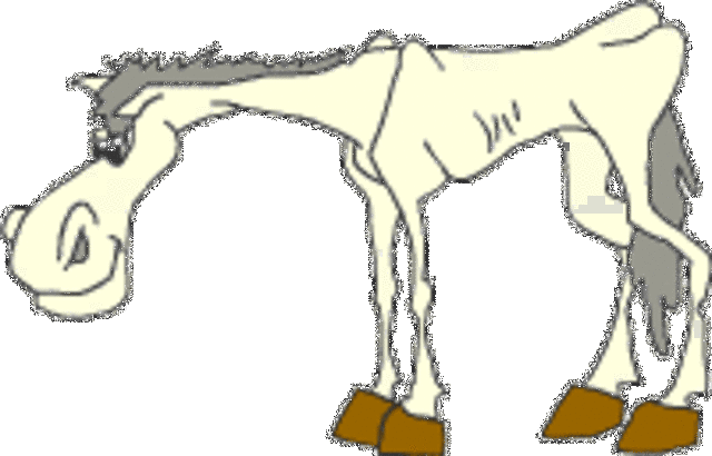 Cap. 1 Ser un caballero