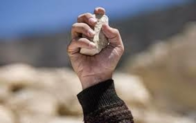 Cap. 3 Definitivamente Don Quijote pierde el juicio