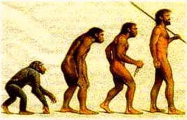 De eerste mensen uit Afrika