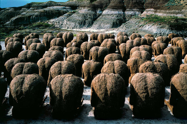 Magdalena Abakanowicz's Backs